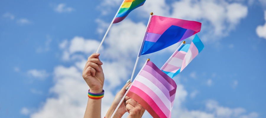 Blog Cover Image of pride flags in the sky